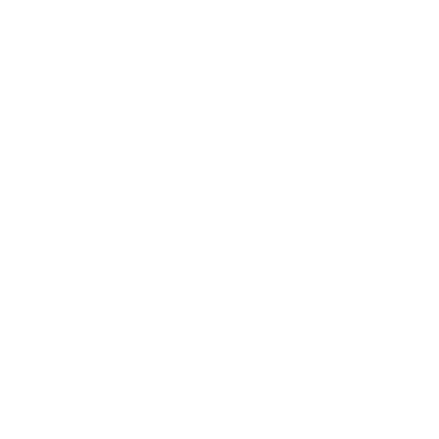 SIFF WINNER
